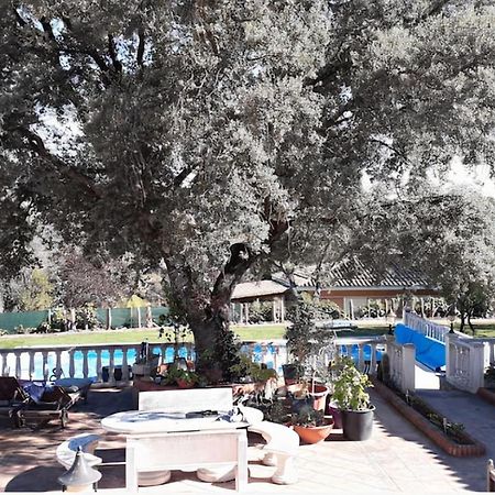 Lovely Home, Cozy Corner In El Bosque, Madrid. Villaviciosa de Odón エクステリア 写真